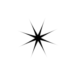 holz motivstempel stern 11