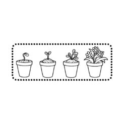 Pflanzenentwicklung - Topfserie 1