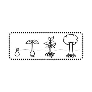 Wachstum Pflanzenreihe - Baum