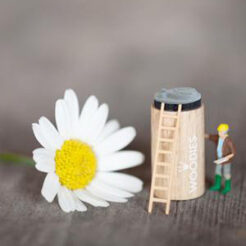 Mini Woodies – kreative Motive im Kleinformat